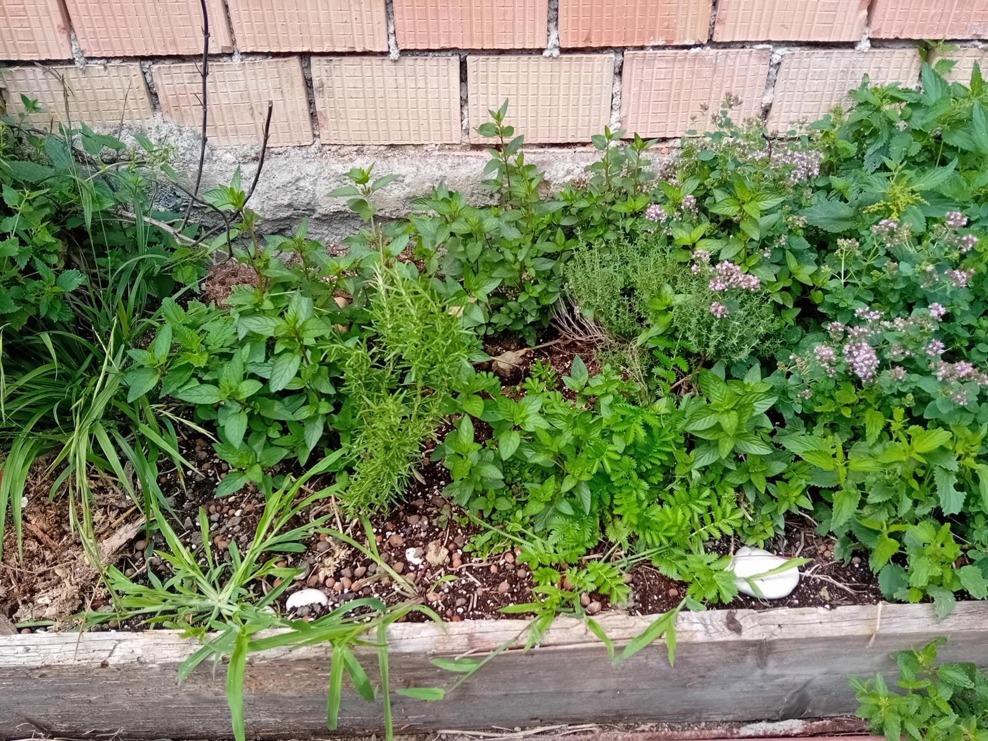 Appartamento Statek Veverska Bityska Esterno foto